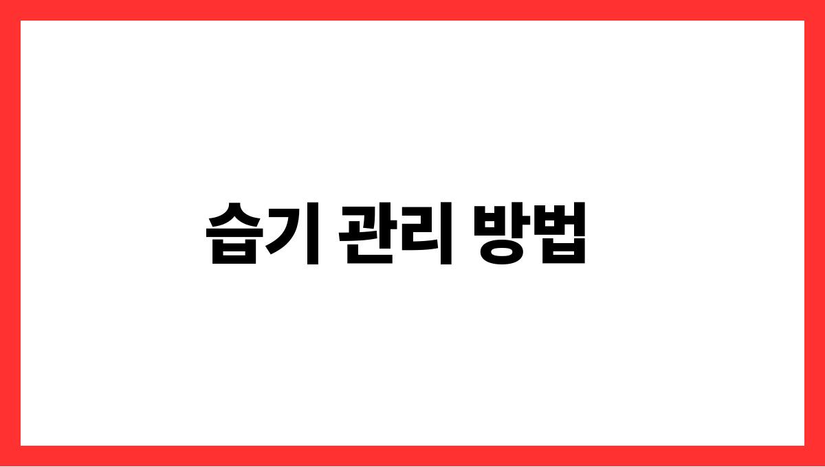 장마철곰팡이예방청소법 습기 관리 방법