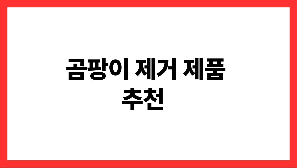장마철곰팡이예방청소법 곰팡이 제거 제품 추천