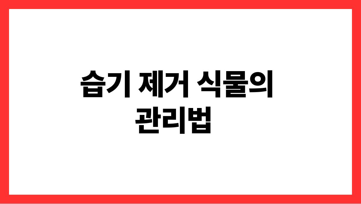 습기제거식물추천 습기 제거 식물의 관리법